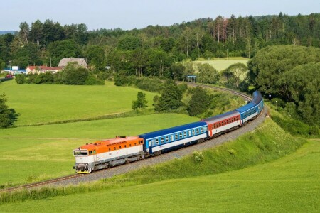 cars, Czech Republic, field, forest, railroad, Railroads, train