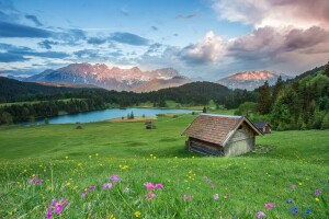 Alpská vesnice, Alpy, modrý, mraky, pole, květiny, les, kopce