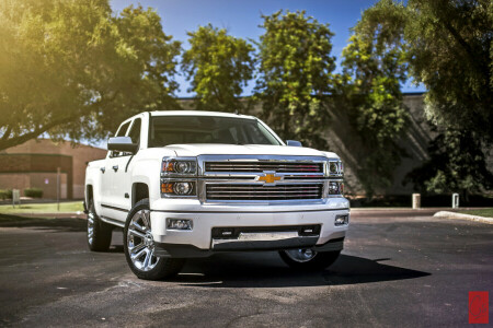 recoger, Silverado, blanco