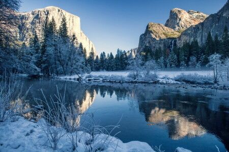 foresta, lago, natura, neve, inverno