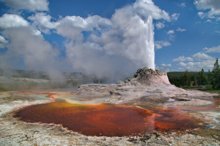 couples, geyser, the sky, trees