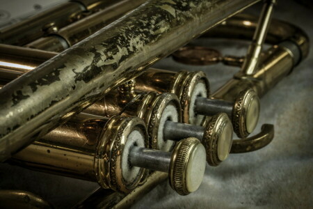 macro, Musica, tubo