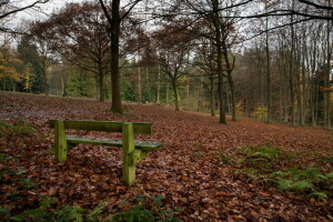 jesień, ławka, Park