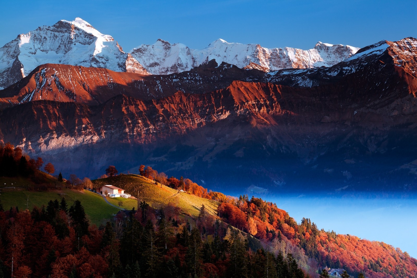 Natur, Bäume, Berge, Senke