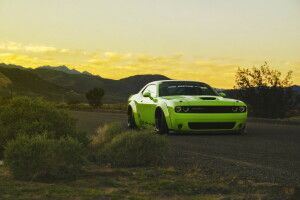 Dodge Challenger, verde, Bajo, Coche muscular, Afinación