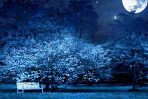 bench, blue, moon, night