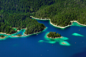 Bayern, metsä, Garmisch-Partenkirchen, Saksa, saari, järvi Eibsee, Puut