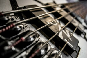 guitar, macro, Music