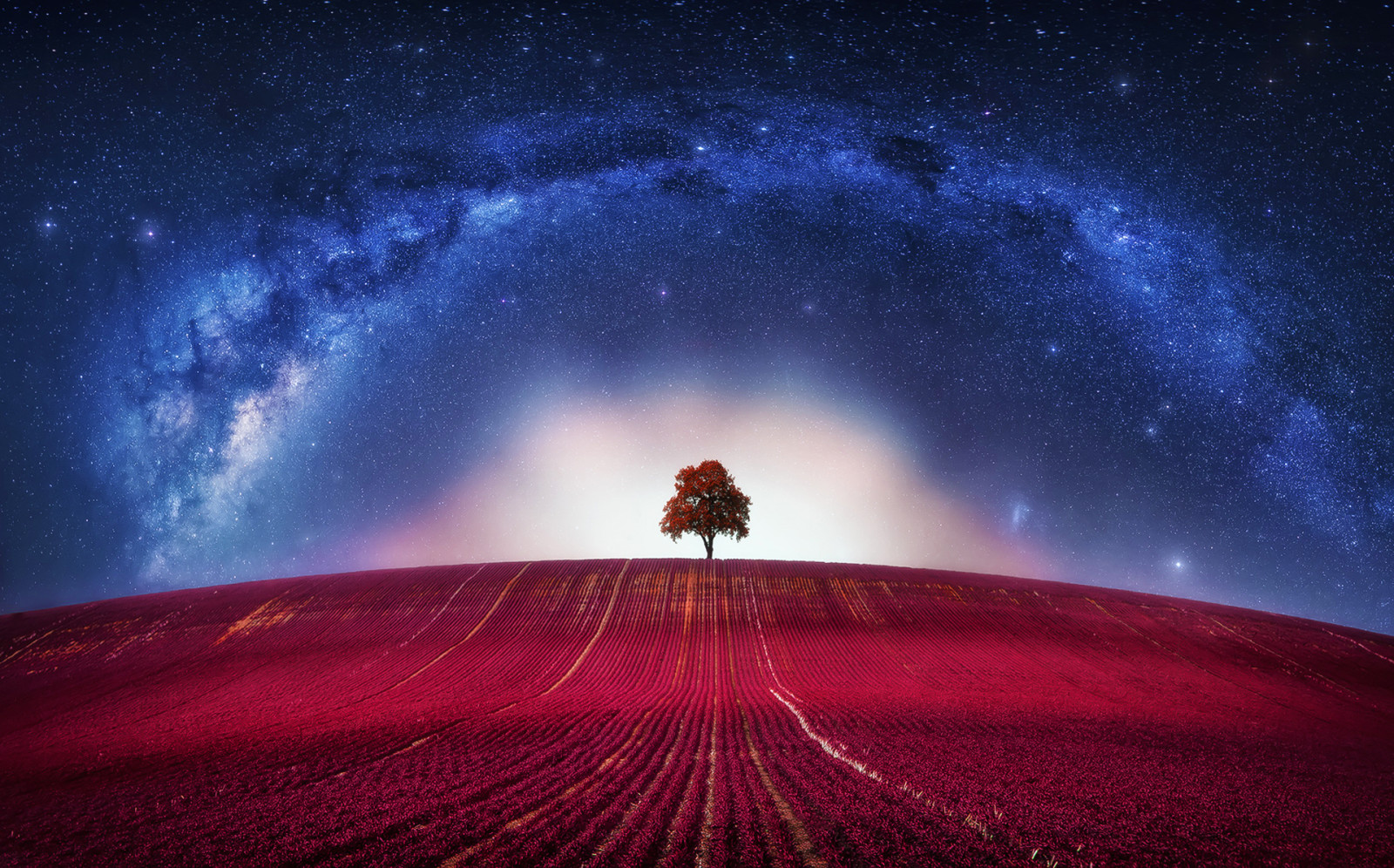 tree, fantasy, clouds, lonely, horizon, loneliness, galaxy, avatar