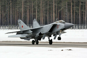 Kettukoira, kaistale, MiG-31