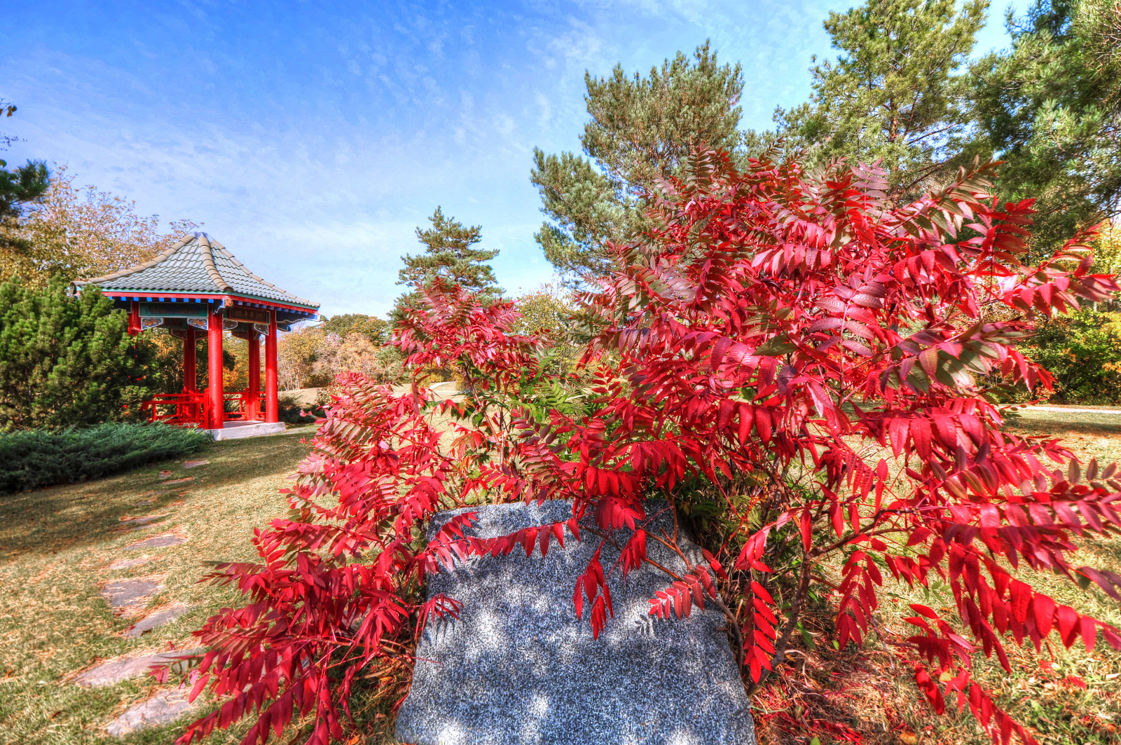 Baum, Herbst, der Himmel, Wolken, Blätter, Stein, Pavillon