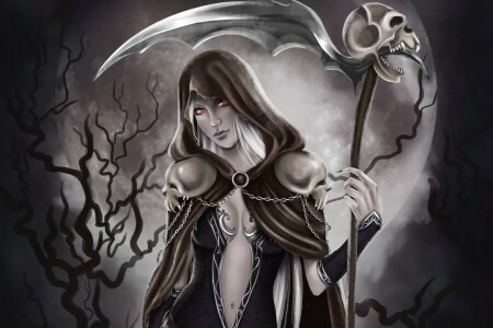 art, braid, cloak, girl, red eyes, skull