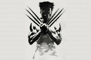 claws, pose, Wolverine