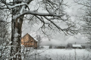 branch, frost, Houses, nature, Russia, snow, tree, trees