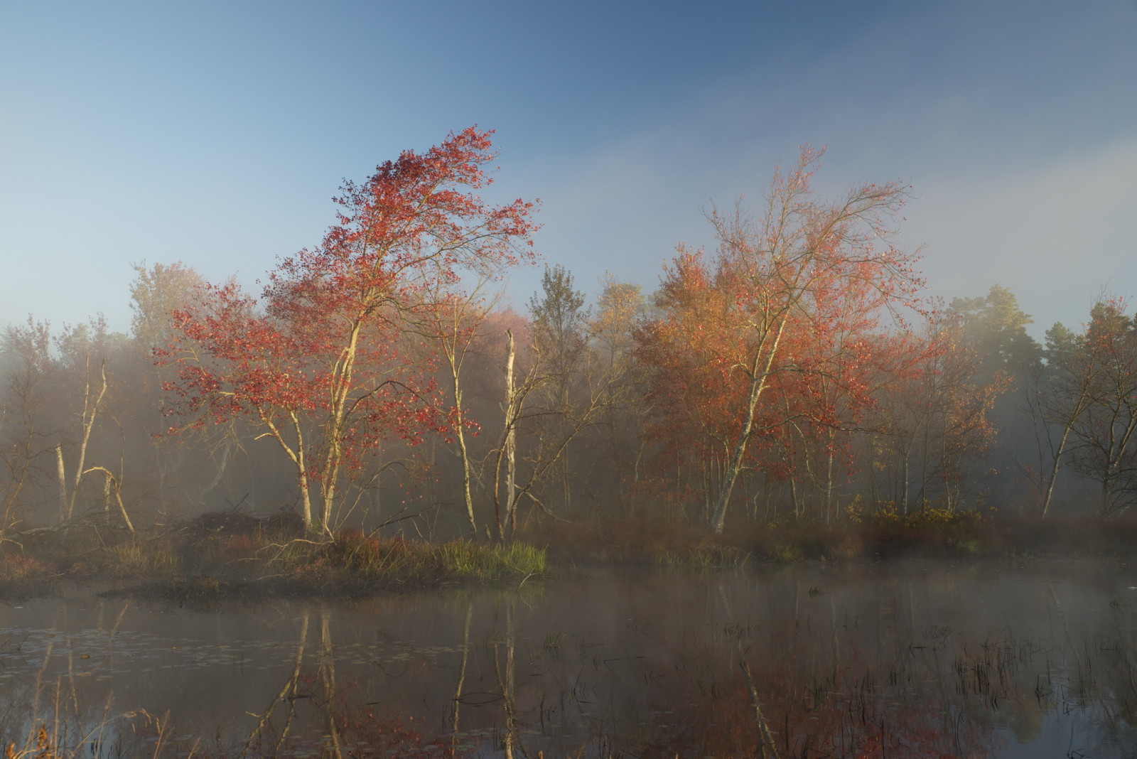 herfst, meer, mist