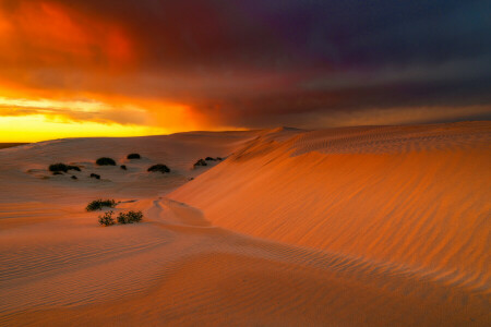 Austrália, nuvens, Deserto, Eucla, brilho, areia, o céu